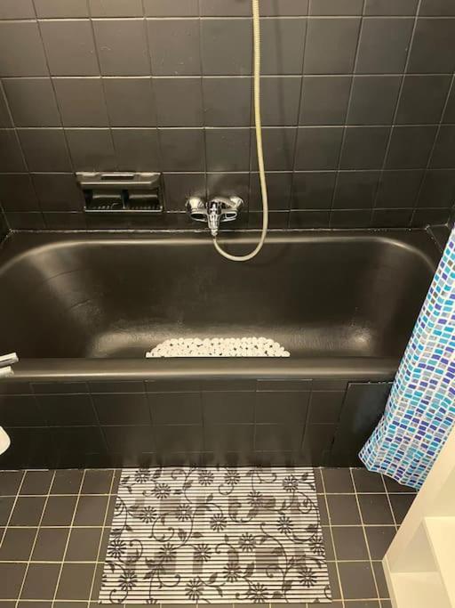 Spacious Apartment Next To Parc Du Cinquantenaire Brussels Ngoại thất bức ảnh