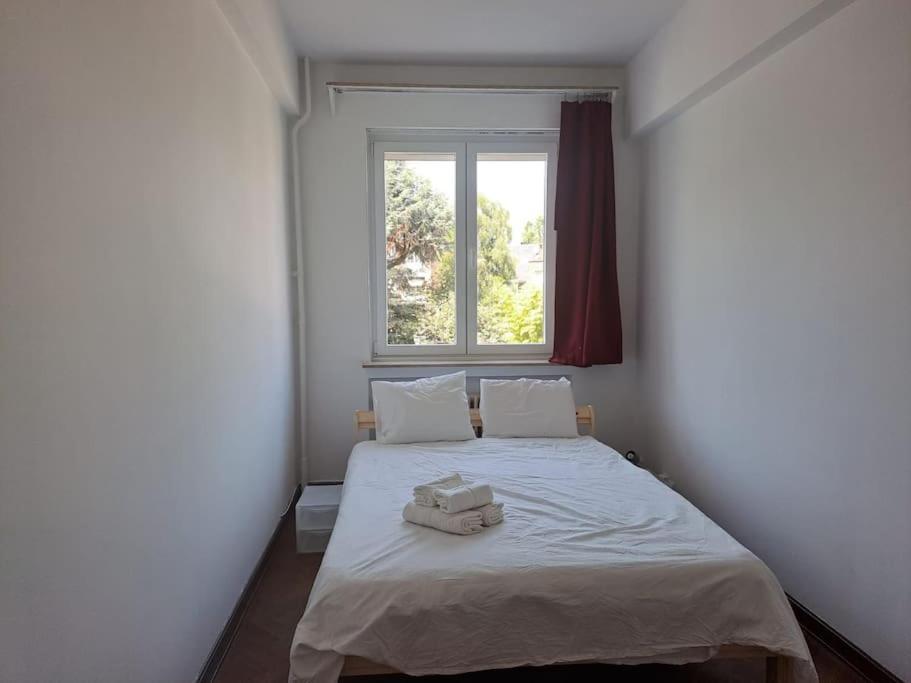 Spacious Apartment Next To Parc Du Cinquantenaire Brussels Ngoại thất bức ảnh
